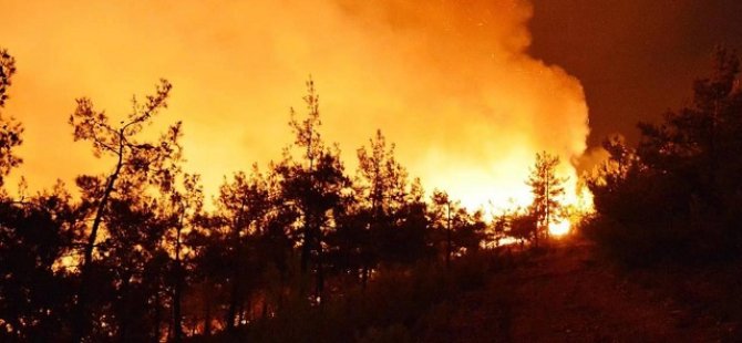 Şili’de orman yangını: 18 ölüm!