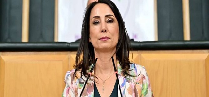 DEM Parti'den ‘Suriye’ kararı!