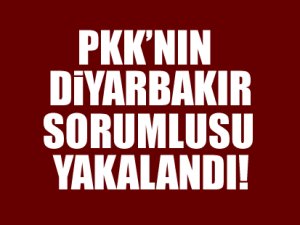 PKK'nın Diyarbakır sorumlusu yakalandı