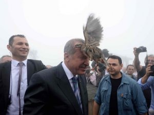 Cumhurbaşkanı Erdoğan'a Keklik çarptı!