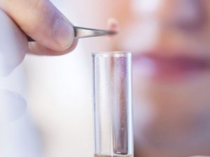 Bilim adamları laboratuvarda sperm üretti