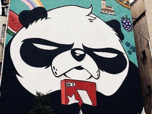 İstanbul sokaklarına 'kızgın pandalar' çiziyor