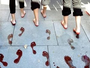 2,5 yılda 481 kadın öldürüldü