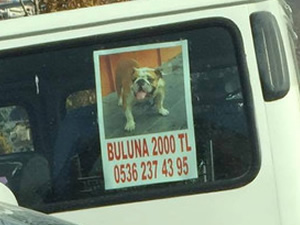 Sihirli Annem'in 'taci'si kayboldu