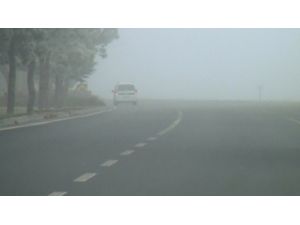 Bor'da yoğun sis hayatı olumsuz etkiliyor