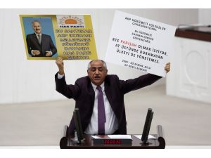 CHP'li Çam: Sarayın gladyosu görev başına geldi, Türkiye'de terör hortladı
