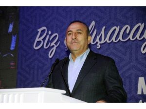 Dışişleri Bakanı Mevlüt Çavuşoğlu: