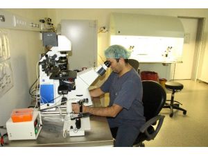 Tüp Bebek İçin OMÜ’de ‘Icsı’ Ve ‘Imsı’ Yöntemi Uygulanıyor