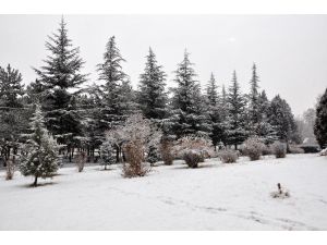 Sorgun’da Kar Yağışı Kazaları Beraberinde Getirdi