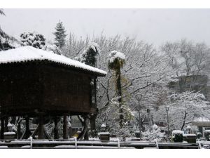 Trabzon, yılın ilk gününe karla uyandı