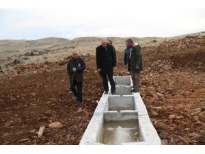 Tunceli’de Hayvan İçme Suyu Projesi Tamamlandı