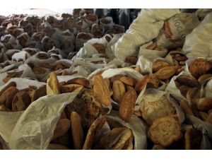 Yılda yaklaşık 5 milyon ekmek çöpe gidiyor