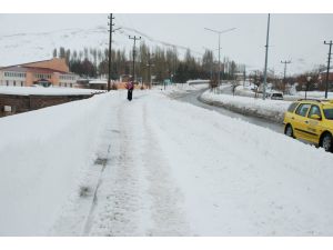 Bitlis’te karla mücadele devam ediyor