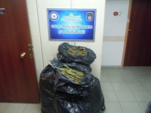 Malatya’da 50 Kilo Esrar Ele Geçirildi: 2 Tutuklama