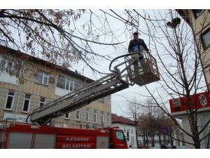 Azdavay’da İtfaiye’nin Kedi Kurtarma Operasyonu