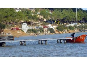 Bodrum'da dokuz yıl önce yanan orman alanında dört otel yükseliyor