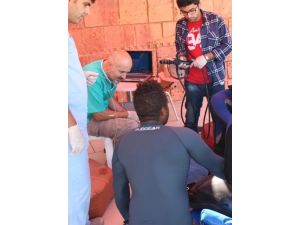 Dalgıç Maskesi Yutan Bir Yunusa Türkiye’de İlk Defa Endoskopi Uygulandı