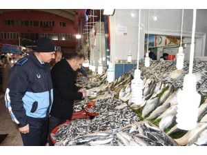 Büyükşehir Zabıtası Balıkçıları Denetledi
