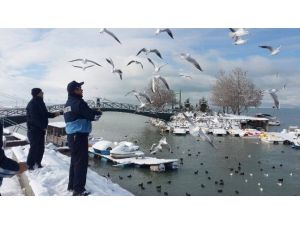 Beyşehir’de Zabıtadan Su Kuşları İçin ‘Farkındalık’ Mesaisi