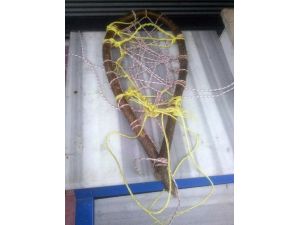 Karda Yürümek İçin ’Giyle’ Kullanıyorlar