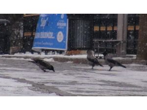 İstanbul'da kar etkisini artırdı