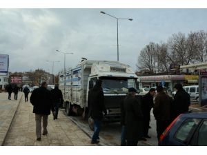 TEMAD'dan Bayır-Bucak Türkmenlerine yardım