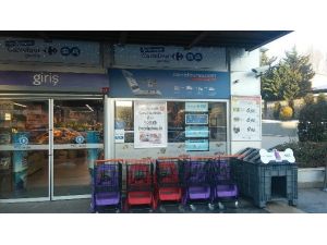 Carrefoursa’dan Sokak Hayvanları İçin “Dost Hareketi” Projesi