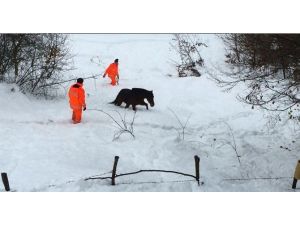 4 Gün Karda Mahsur Kalan Atı İtfaiye Kurtardı