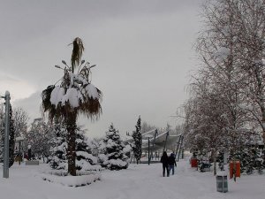 Kocaeli Üniversitesi'nde eğitime kar engeli