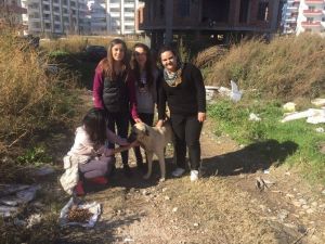 Silifke’de Sokak Hayvanlarına Öğrenciler Sahip Çıktı