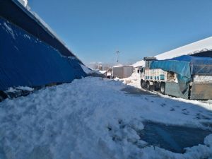 Rize’de Aşırı Kar Nedeniyle Meyve-sebze Halinin Çatısı Çöktü