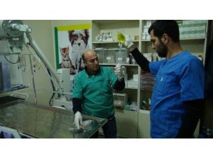 Bölgenin İlk Donanımlı Hayvan Hastanesi Tatvan’da Kuruldu