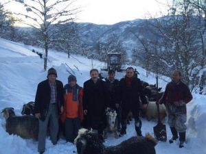 Karda Mahsur Kalan Çoban Ve 300 Küçükbaş Hayvanı Kurtarıldı