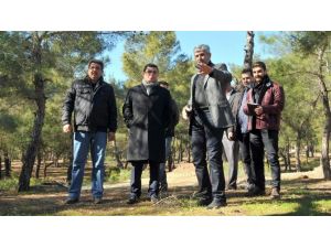 Tütüncü, Kepez Park Orman Projesini İnceledi