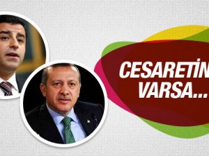 Selahattin Demirtaş'tan Erdoğan'a: Rahat durmuyor