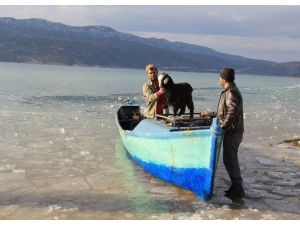 Adadaki Hasta Keçiyi Balıkçı Teknesiyle Taşıdılar