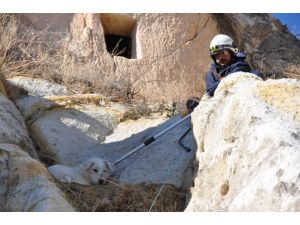 Kayalıklarda mahsur kalan köpeği kurtarma operasyonu