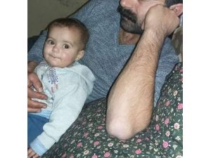 Iğdır'da 2 baba çocuklarına Kürdistane ve Gerilla isimlerini verdi