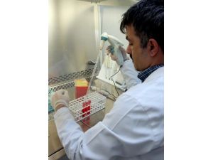 ÇÜ’de Bilim İnsanları Yapay Kan Üretti