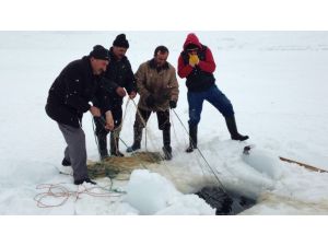 Ahlatlı balıkçılar nafakalarını buz tutan gölden çıkarıyor