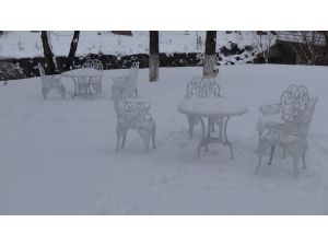 Kar sonrası görsel şölen oluşurken hayvanlar yiyecek bulma telaşında