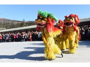 Uzakdoğu'da yeni yıl coşkusu