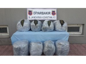 Diyarbakır’da 101 Kilogram Kubar Esrar Ele Geçirildi