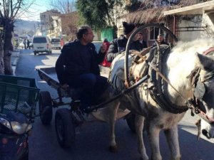 Roman milletvekili CHP'li Özcan Purçu at arabasına bindi