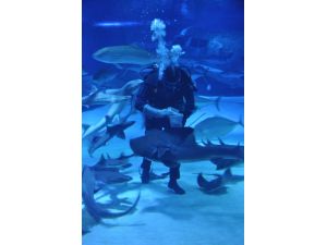 Antalya Aquarium’da fiyatlar yarı yarıya indirildi