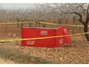 Şalıurfa’da Yanmış Erkek Cesedi Bulundu