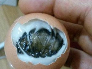 Kaynattığı Yumurtanın İçinden Civciv Çıktı