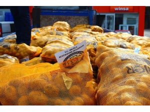 Büyükşehir, Üreticilere 130 Ton Patates Tohumu Dağıttı