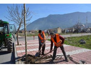 Şehzadeler Belediyesi’nden Ağaçlandırma Seferberliği
