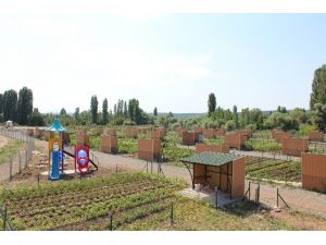 Beyşehir Belediyesi’nden Hobi Bahçeleri İçin Yeni Fırsat